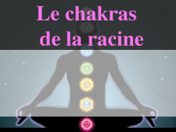 Lumira chamane et le chakra de la racine