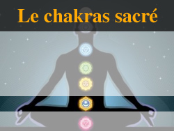 chamane lumira et le chakra sacré