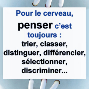 cerveau penser, trie, hierarchise..