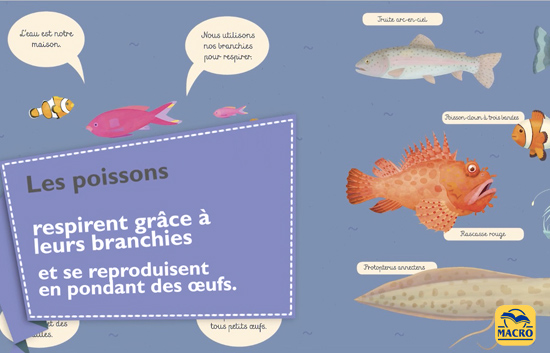 la respiration des poissons