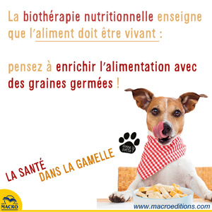 l'alimentation vivante pour les chien et les chats