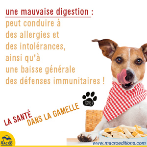 mauvaise digestion chien et chat - allergie et intolerance