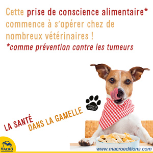 vétérinaire - alimentation préventive tumeur chien et chat