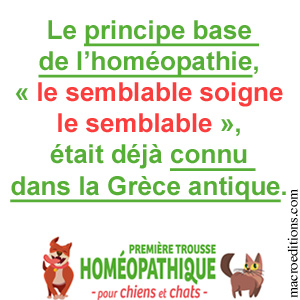 le semblable soigne le semblable - homéopathie