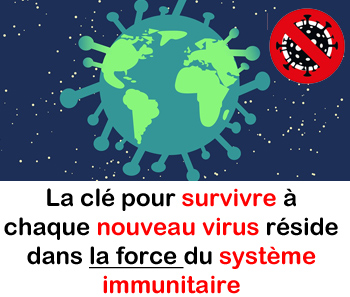 virus et système immunitaire