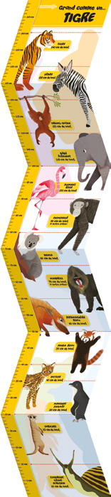 toise à mesurer 1,5m - thème les tigres